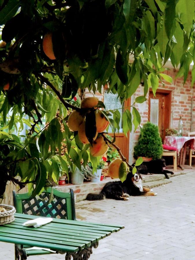 فندق Mives Vendeghaz Pogány المظهر الخارجي الصورة